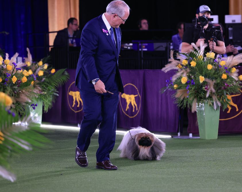 Question of the Week